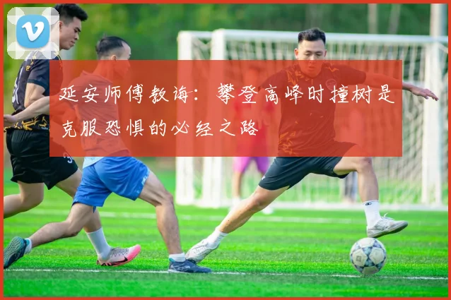 延安师傅教诲：攀登高峰时撞树是克服恐惧的必经之路