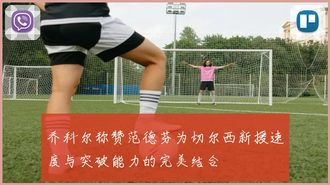 乔科尔称赞范德芬为切尔西新援速度与突破能力的完美结合
