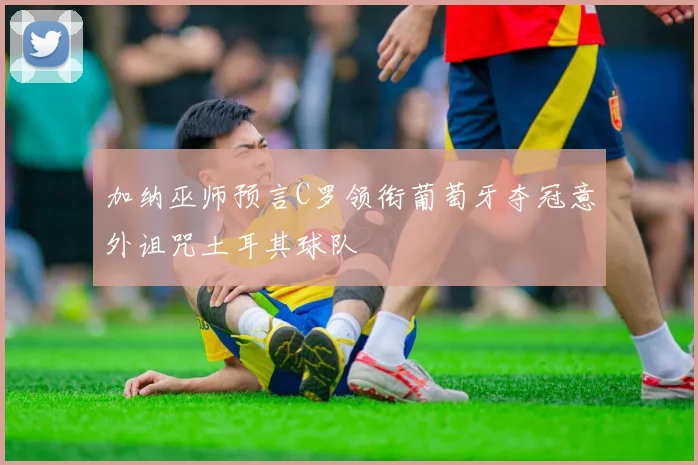 加纳巫师预言C罗领衔葡萄牙夺冠意外诅咒土耳其球队